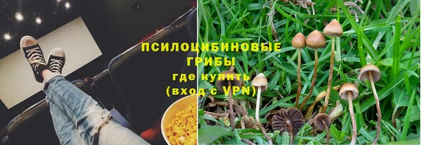 a pvp Алексин