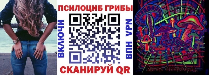 Купить где  Кушва  Галлюциногенные грибы Magic Shrooms 